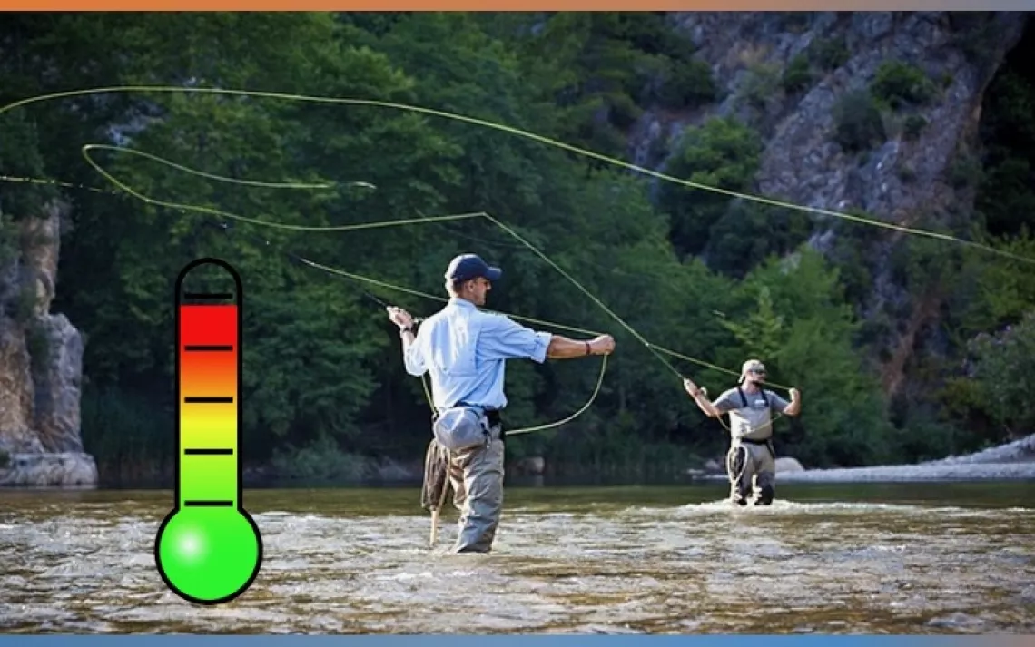 A Warming River Runs Through It - Fly Fishing, Courts, and Climate